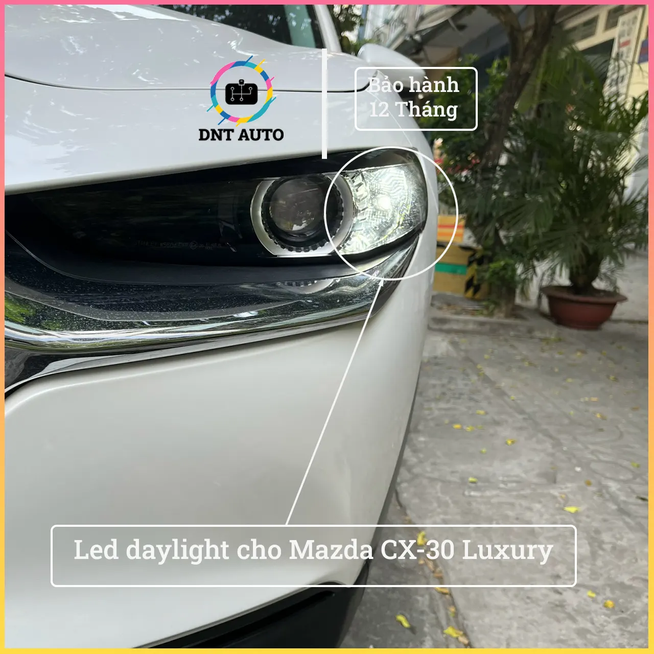 Bóng đèn led daylight cho Mazda CX30 Luxury