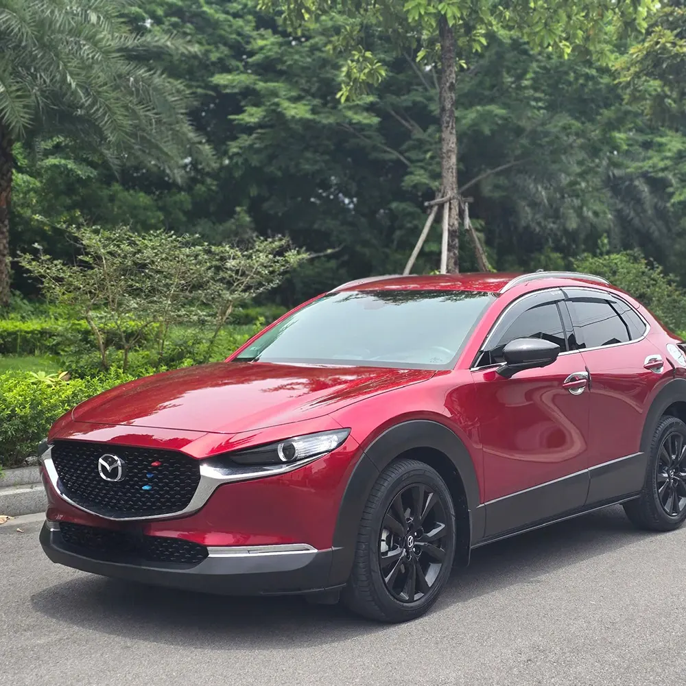 Bóng đèn led daylight cho Mazda CX30 Luxury - Ảnh 6